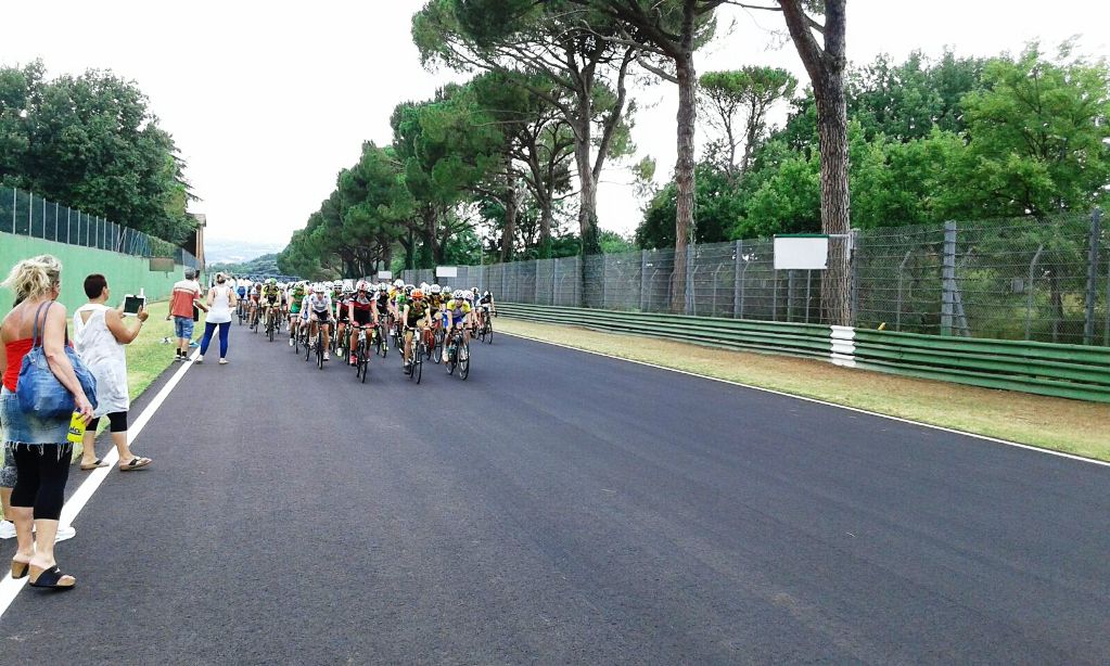 nuova-spiga-aurea-a-imola.jpg