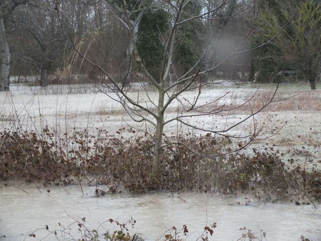 esondazione-fiume-spoltore-(6).JPG