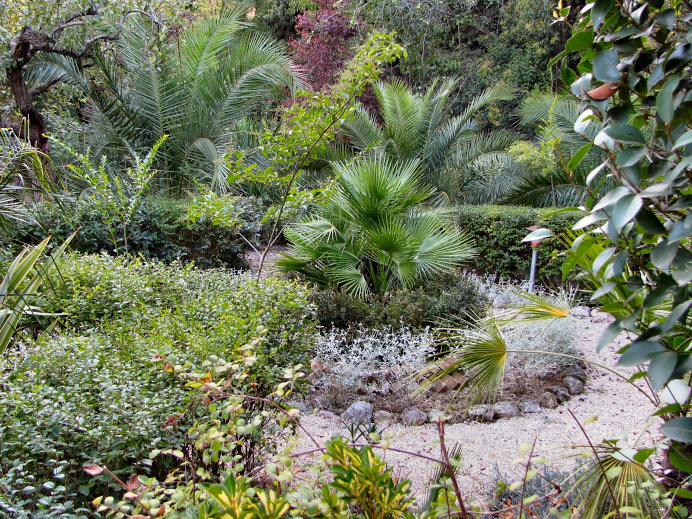 giardino-ligustri-loreto.jpg