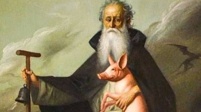 santantonio-animali.jpg