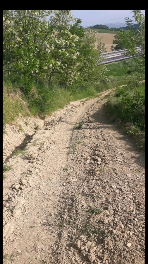 via degli oleandri - Spoltore