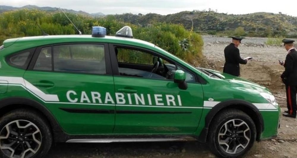 foto dal web