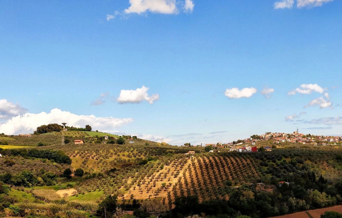 olio.jpg
